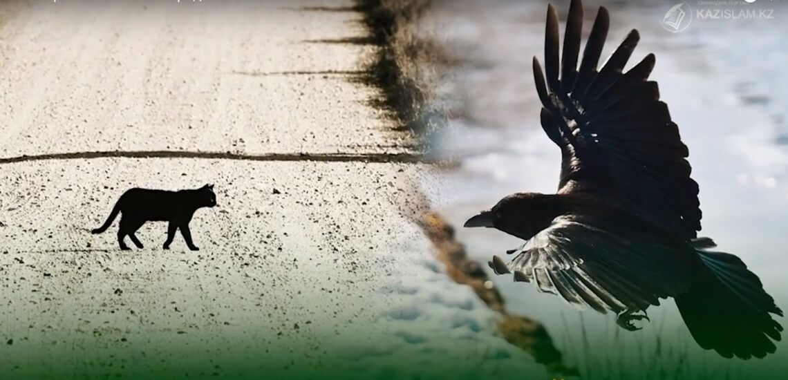 Жаман ырым иманнан айырады