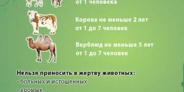 Курбан айт: Информация выбору жертвенного животного