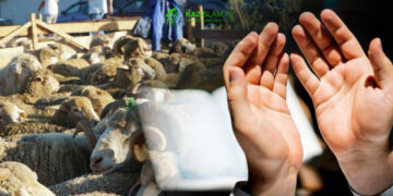 Құрбандық шалу кезінде айтылатын дұға бар ма?