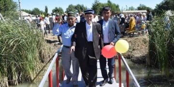 Зейнеткер өз ауылына көпір салып берді