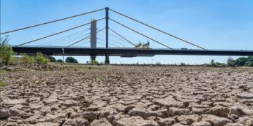 Француз мұсылмандары тасаттық бермек