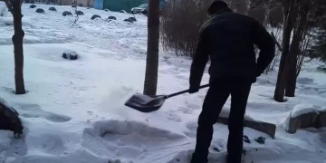 Өскеменде ер адам балағат сөз айтқаны үшін қоғамдық жұмысқа тартылды
