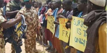 Более 200 боевиков «Боко Харам» сдались властям Нигерии