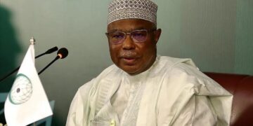 Генсек ОИС призвал исламские страны к поддержке Турции