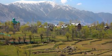 Қоқыс бер де, алтын ал!