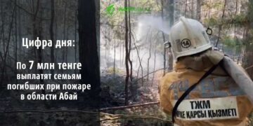 7 млн тенге выплатят семьям погибших при пожаре в области Абай