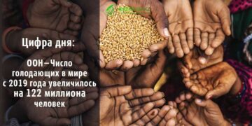 ООН: Число голодающих в мире с 2019 года увеличилось на 122 миллиона человек