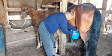 Cүйіндік ЖАТПЕКОВ: Қымыз – белсіздік ауруына ем