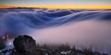 Тұманнан таза су алу технологиясы пайда болды