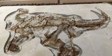 130 млн жыл бұрын тіршілік еткен динозаврлар қалдығы табылды