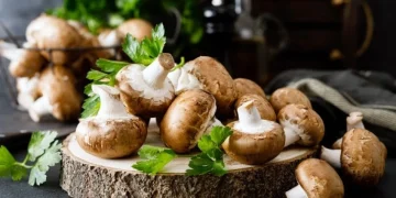 Қазақтарға неге саңырауқұлақ жеуге болмайды