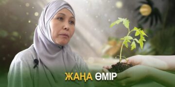 Жаңа өмір