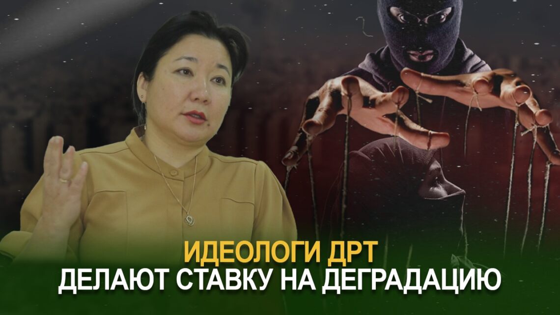 Идеологи ДРТ делают ставку на деградацию