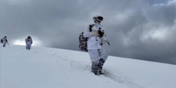 Түрік күштік құрылымдары 923 террористің көзін жойды