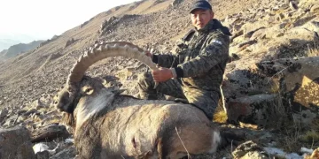 Қандасымыз «Мемлекеттік саңлақ малшы» атанды