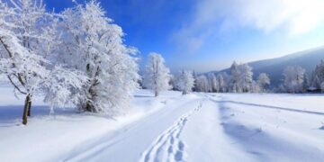 Қар жауды деп қуанба…