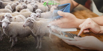 Курбан в долг или в кредит!