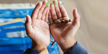 Можно ли делать дуа в любое время?