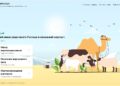 Курбан-айт – 2024: ДУМК запустило сайт qurban2024.kz