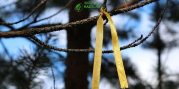 Что означают ленточки на деревьях у могил?