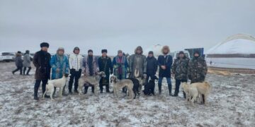 Тазылар сайысы