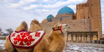 В Туркестане стартует республиканский проект «Лекция силы»