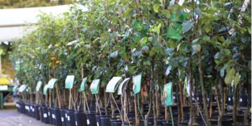 Предпринимателя оштрафовали за неуместное использование слова «халяль»