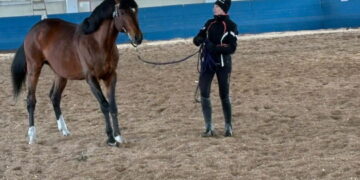 Қазақ жылқысы – ұлттың коды, өркениет жады