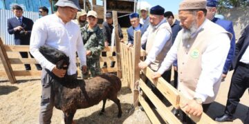 Бас мүфти мал бағасын негізсіз көтермеуге шақырды