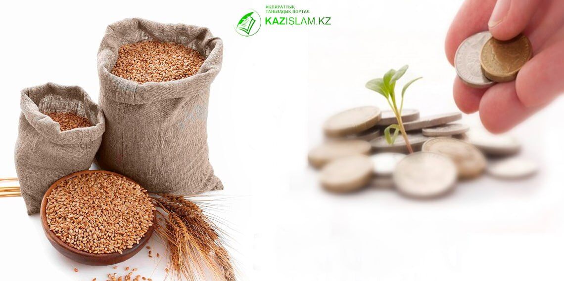 Когда и как выплачивать закят?