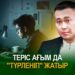 Теріс ағым да «түрленіп» жатыр