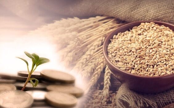 ДУМК: Сумма фитр-садака в 2026 году составит 735 тенге