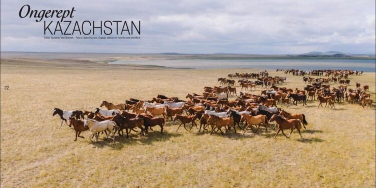 Porschist журналының Қазақстанға арналған арнайы саны жарық көрді