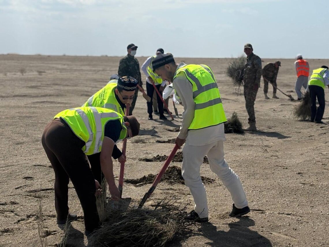 ҚМДБ Зекет және қайырымдылық қоры 13 000 түп сексеуіл екті