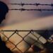 10 советов для защиты себя и близких от радикализма