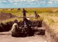 Қостанай облысында тас дәуіріне жататын сирек қабірлер табылды