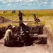 Қостанай облысында тас дәуіріне жататын сирек қабірлер табылды